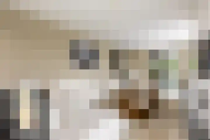 Gemeenlandsedijk Zuid 14 Abbenbroek thumbnail 8