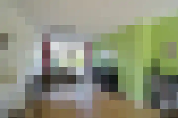 Gemeenlandslaan 11 Huizen thumbnail 6