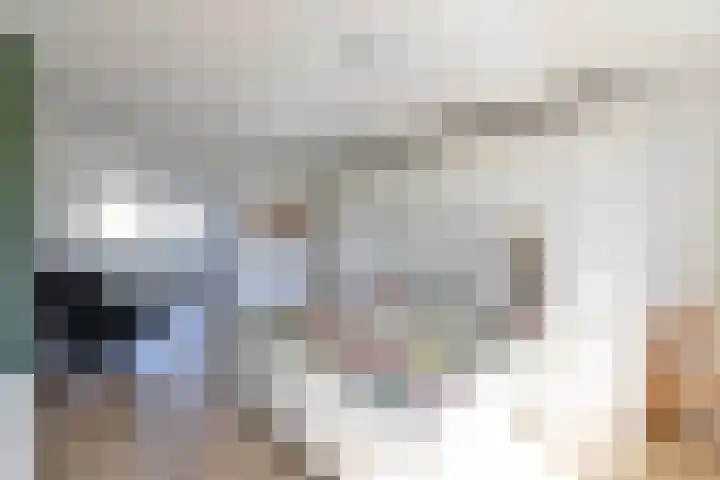 Gemeenlandslaan 11 Huizen thumbnail 9