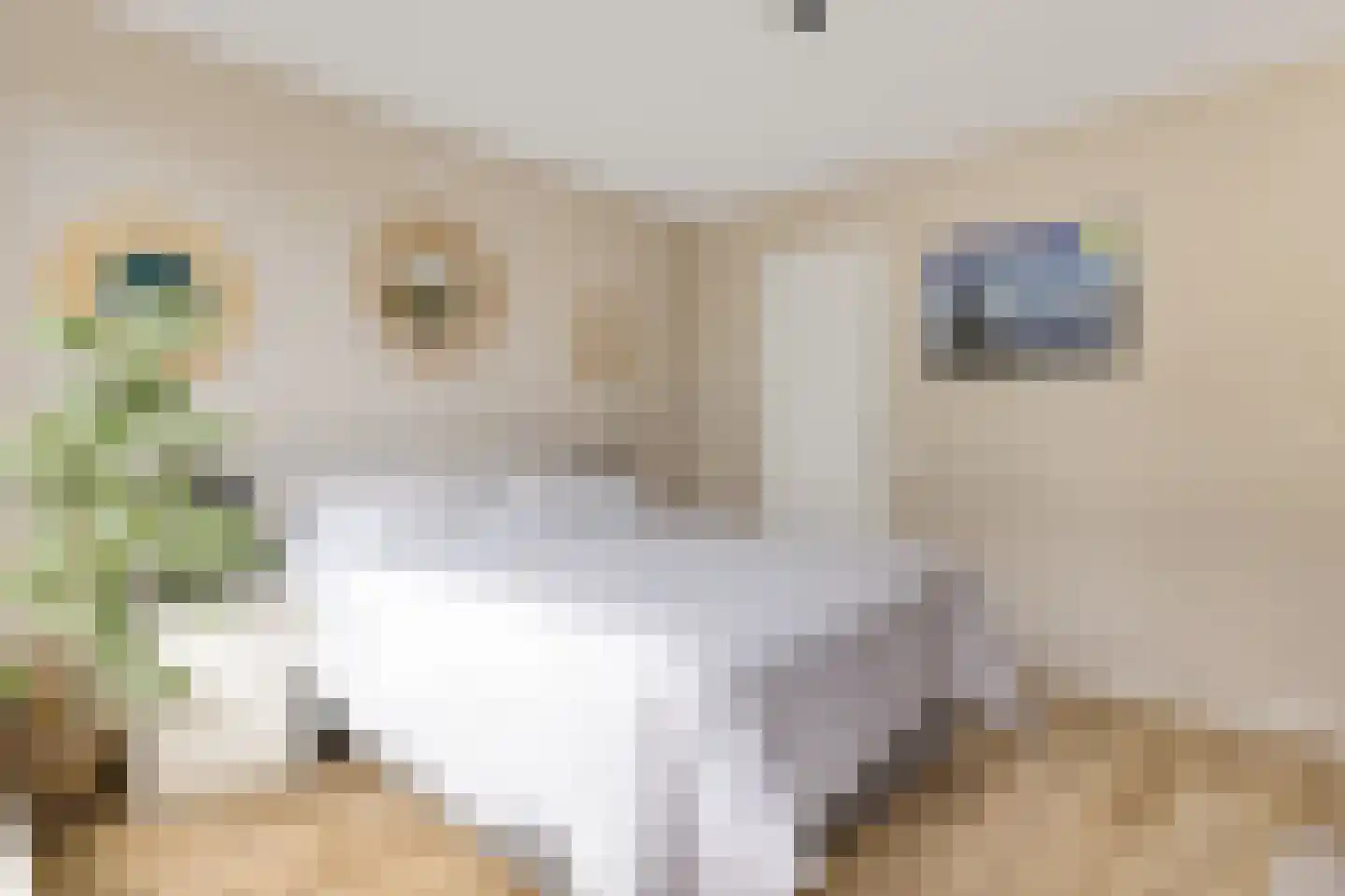 Gemeenlandslaan 39 Huizen thumbnail 25