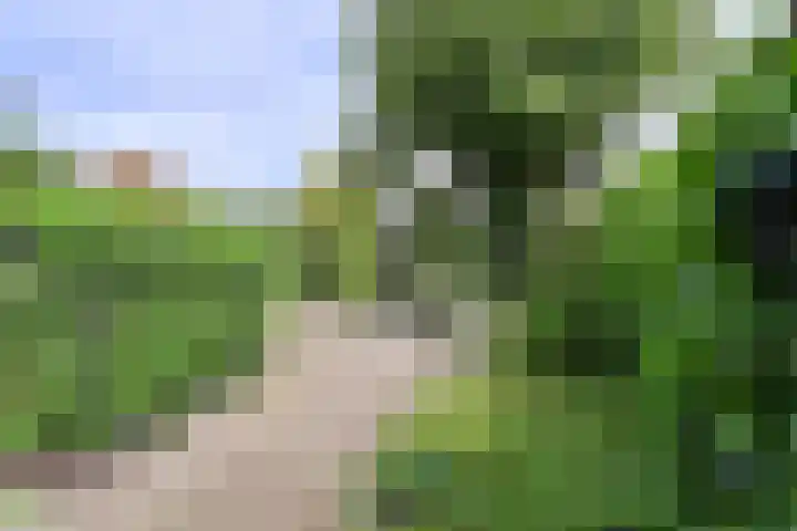 Gemeenlandslaan 51 Huizen thumbnail 15