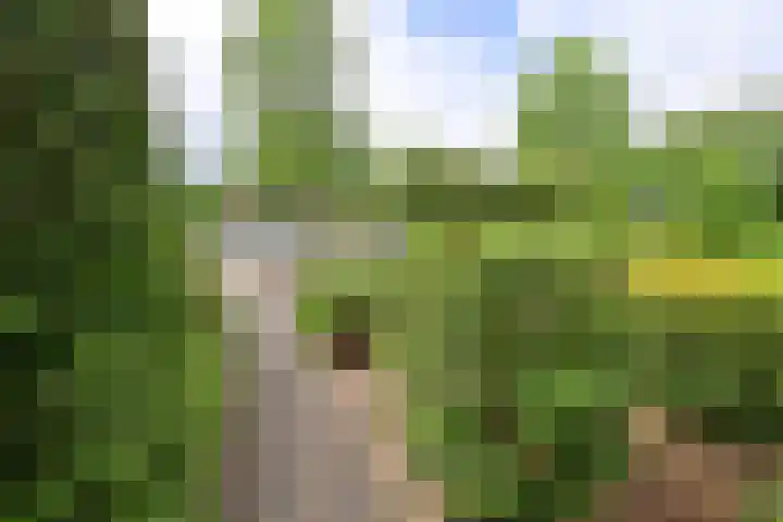 Gemeenlandslaan 51 Huizen thumbnail 16
