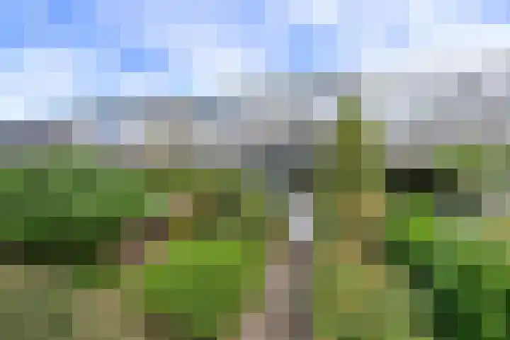 Gemeenlandslaan 51 Huizen thumbnail 20