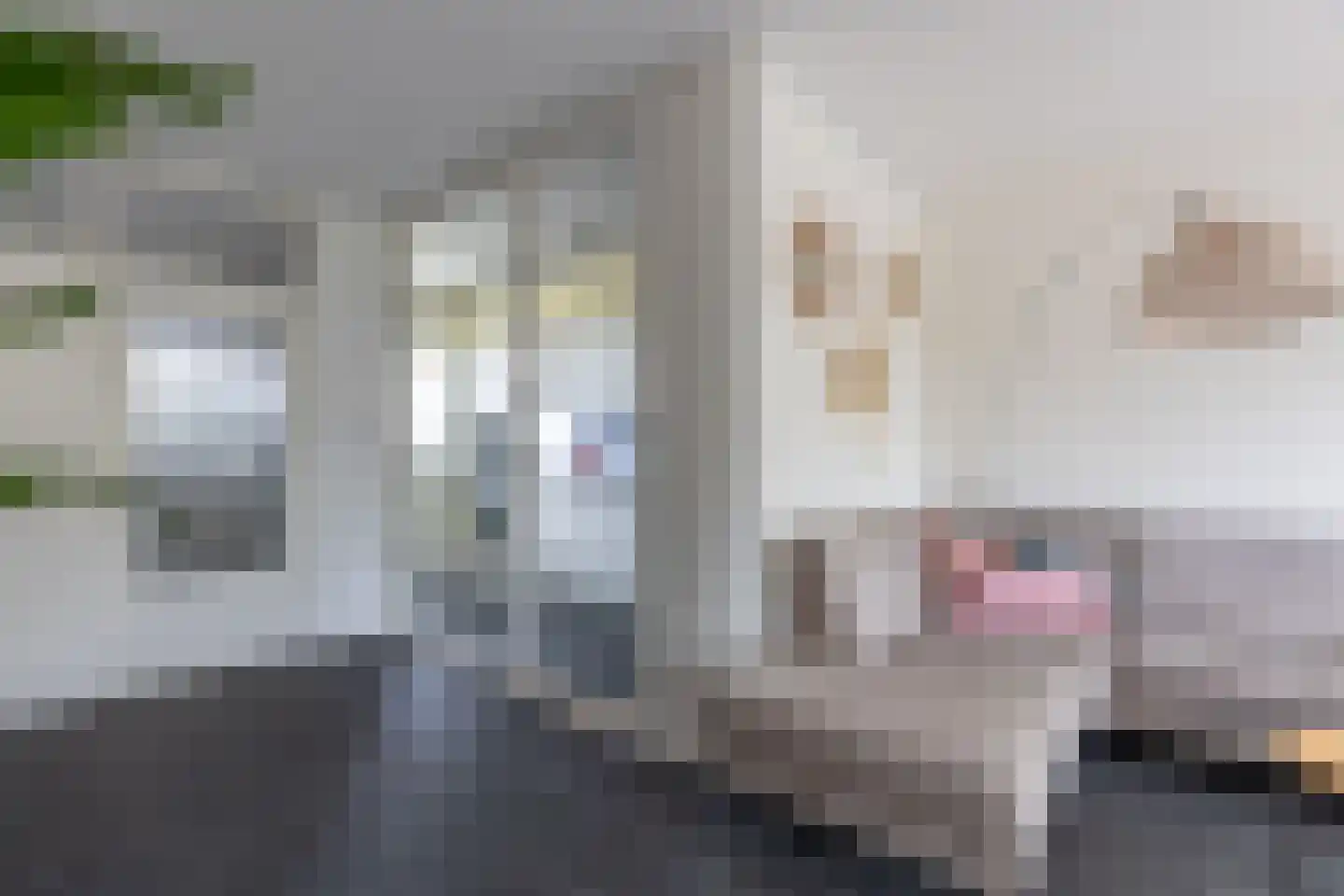 Gemeenschapspolderweg 407 Weesp thumbnail 10
