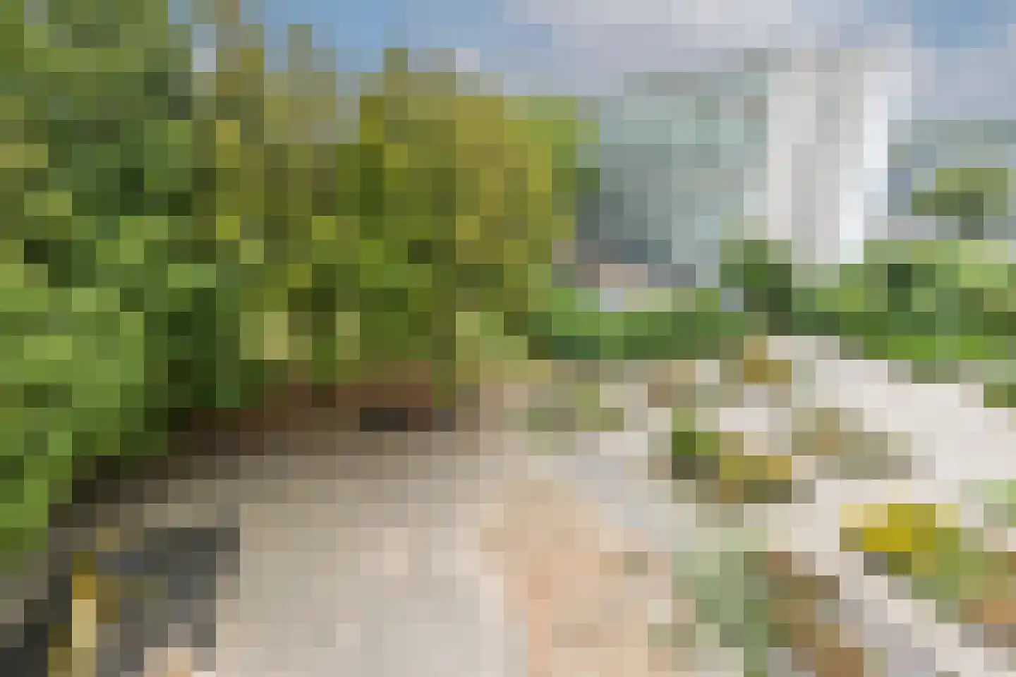 Gemeenschapspolderweg 407 Weesp thumbnail 22