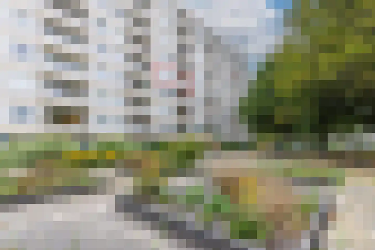 Gemeenschapspolderweg 407 Weesp thumbnail 27
