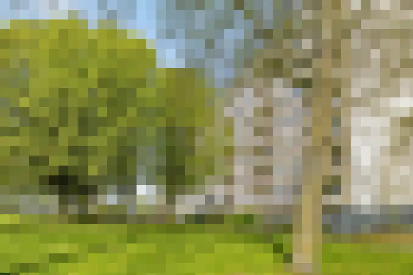 Gemeenschapspolderweg 505 Weesp thumbnail 5