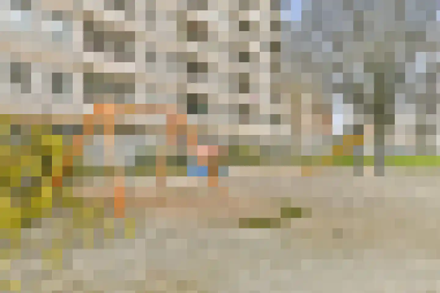 Gemeenschapspolderweg 511 Weesp thumbnail 23