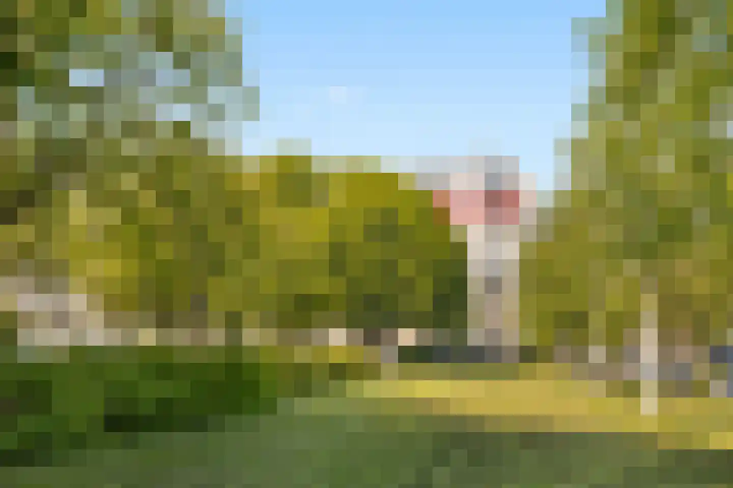 Gemeenschapspolderweg 701 Weesp thumbnail 4