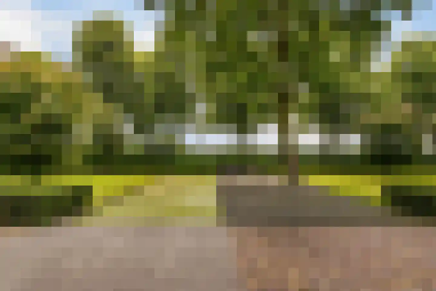 Gemeentenweg 39 Dongen thumbnail 10