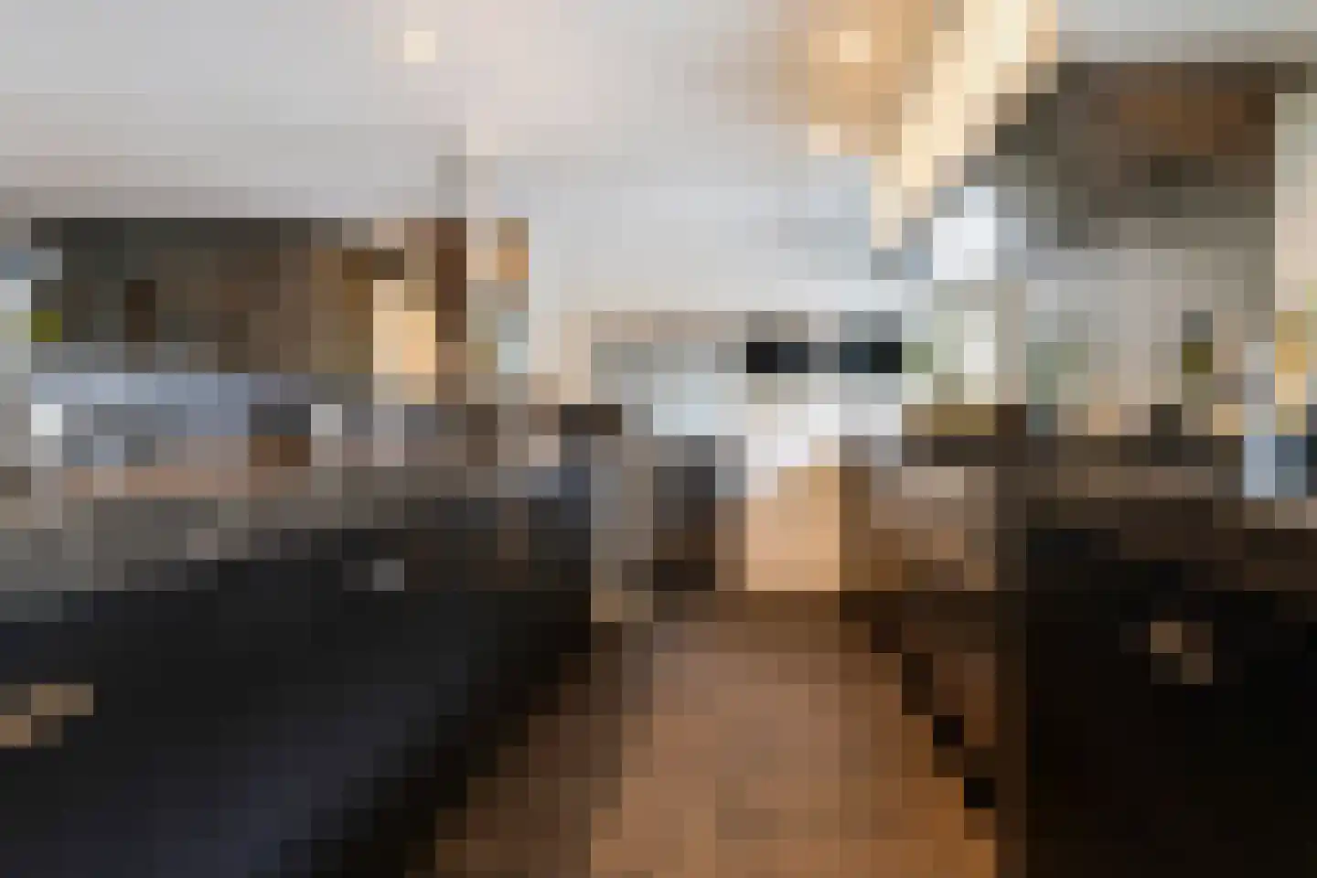 Gemeentenweg 39 Dongen thumbnail 15