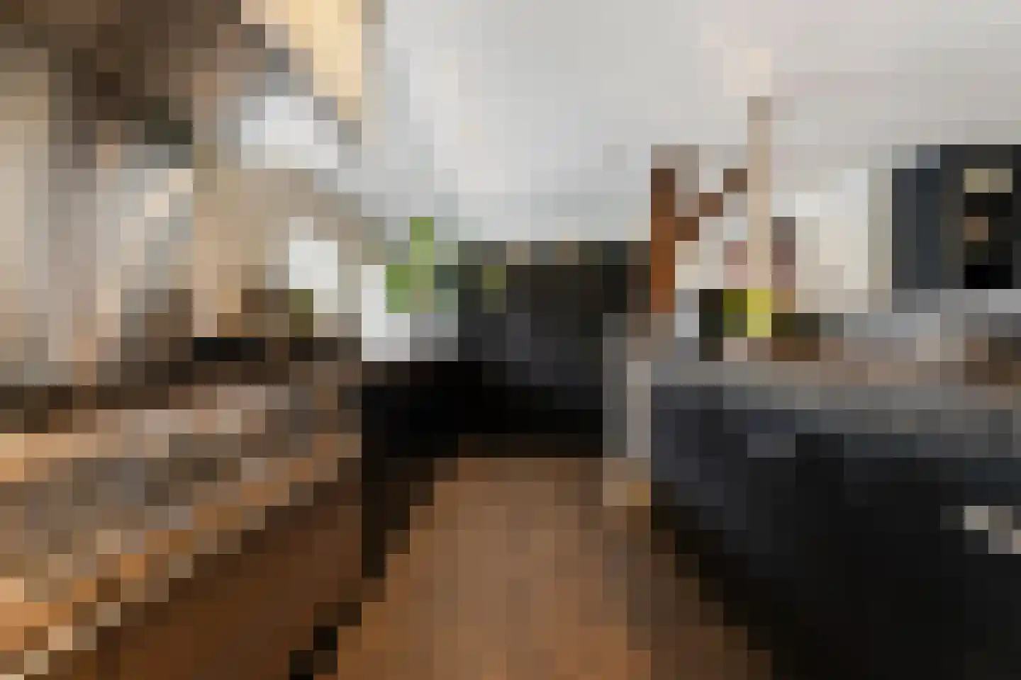 Gemeentenweg 39 Dongen thumbnail 16