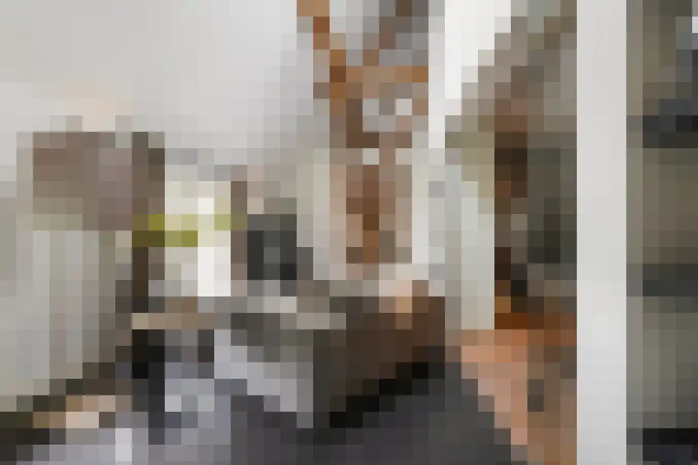 Gemeentenweg 39 Dongen thumbnail 17