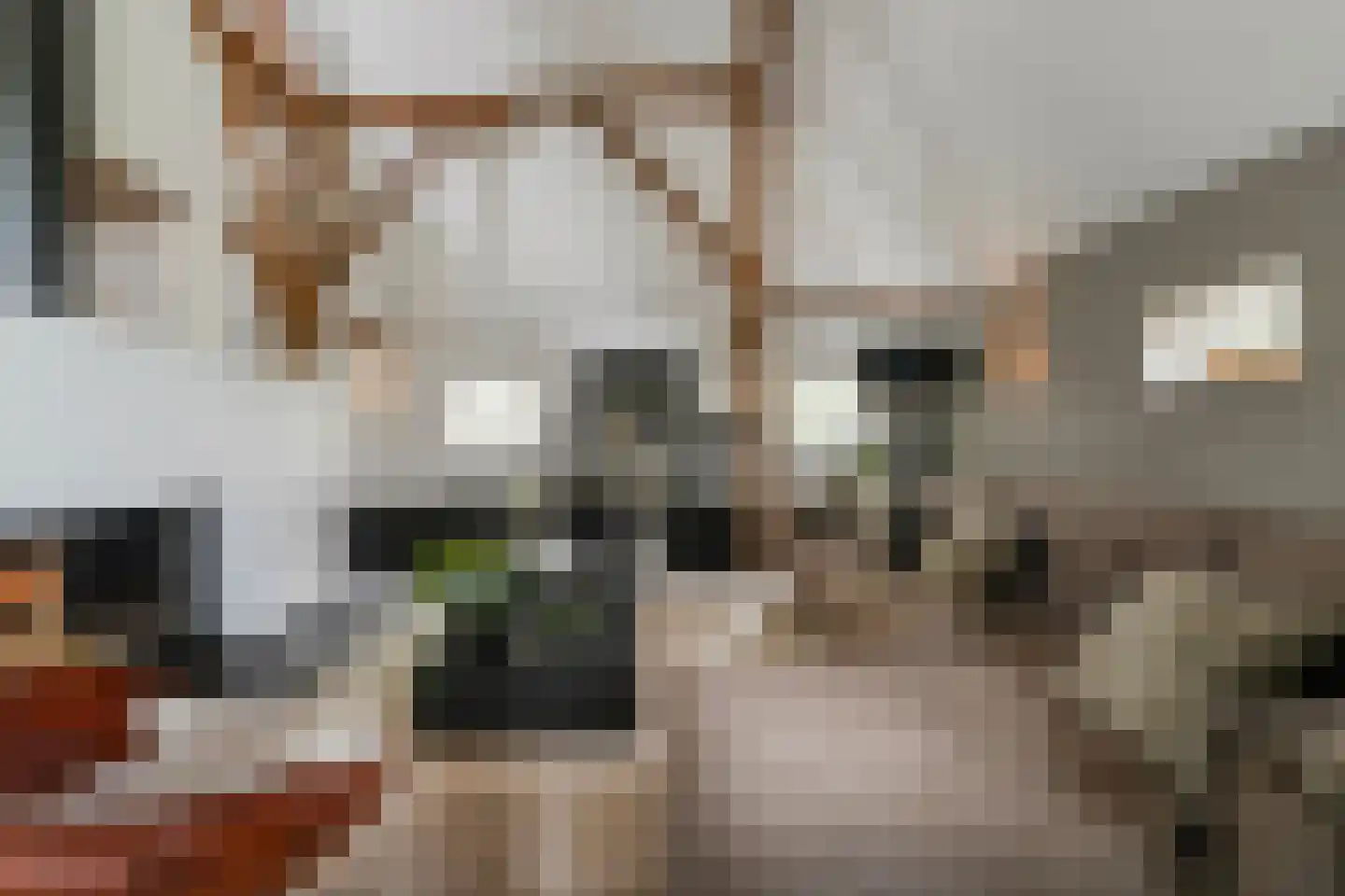 Gemeentenweg 39 Dongen thumbnail 21