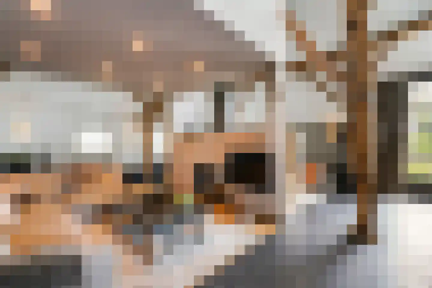 Gemeentenweg 39 Dongen thumbnail 24