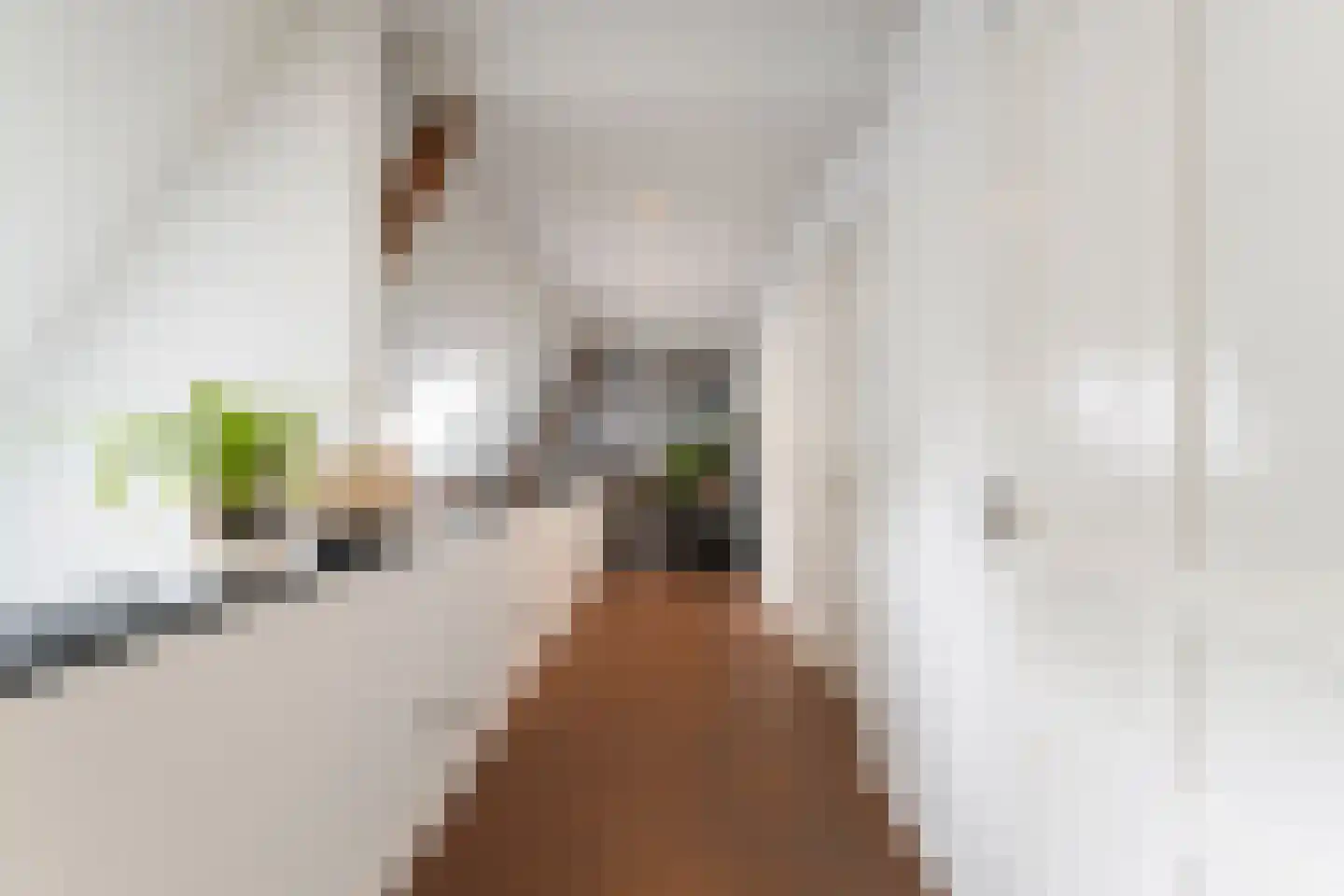 Gemeentenweg 39 Dongen thumbnail 34