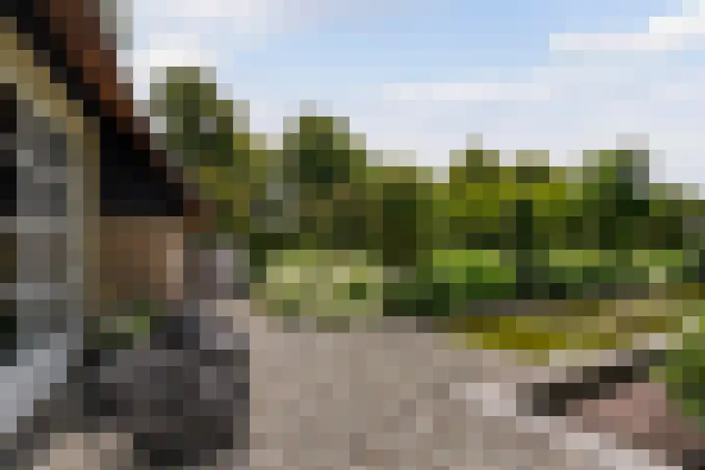 Gemeentenweg 39 Dongen thumbnail 37