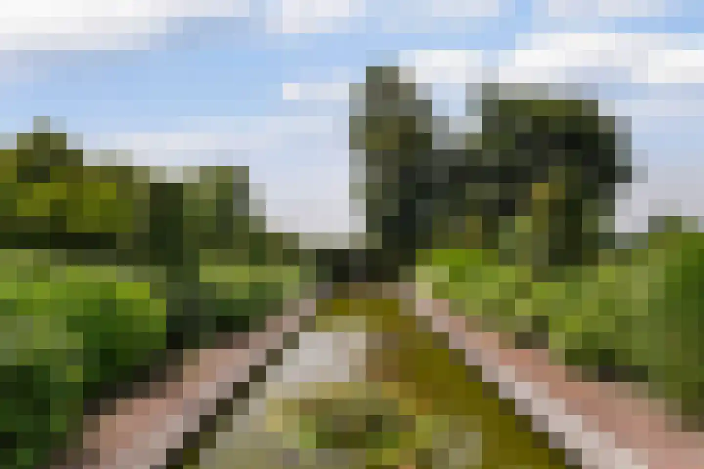 Gemeentenweg 39 Dongen thumbnail 39