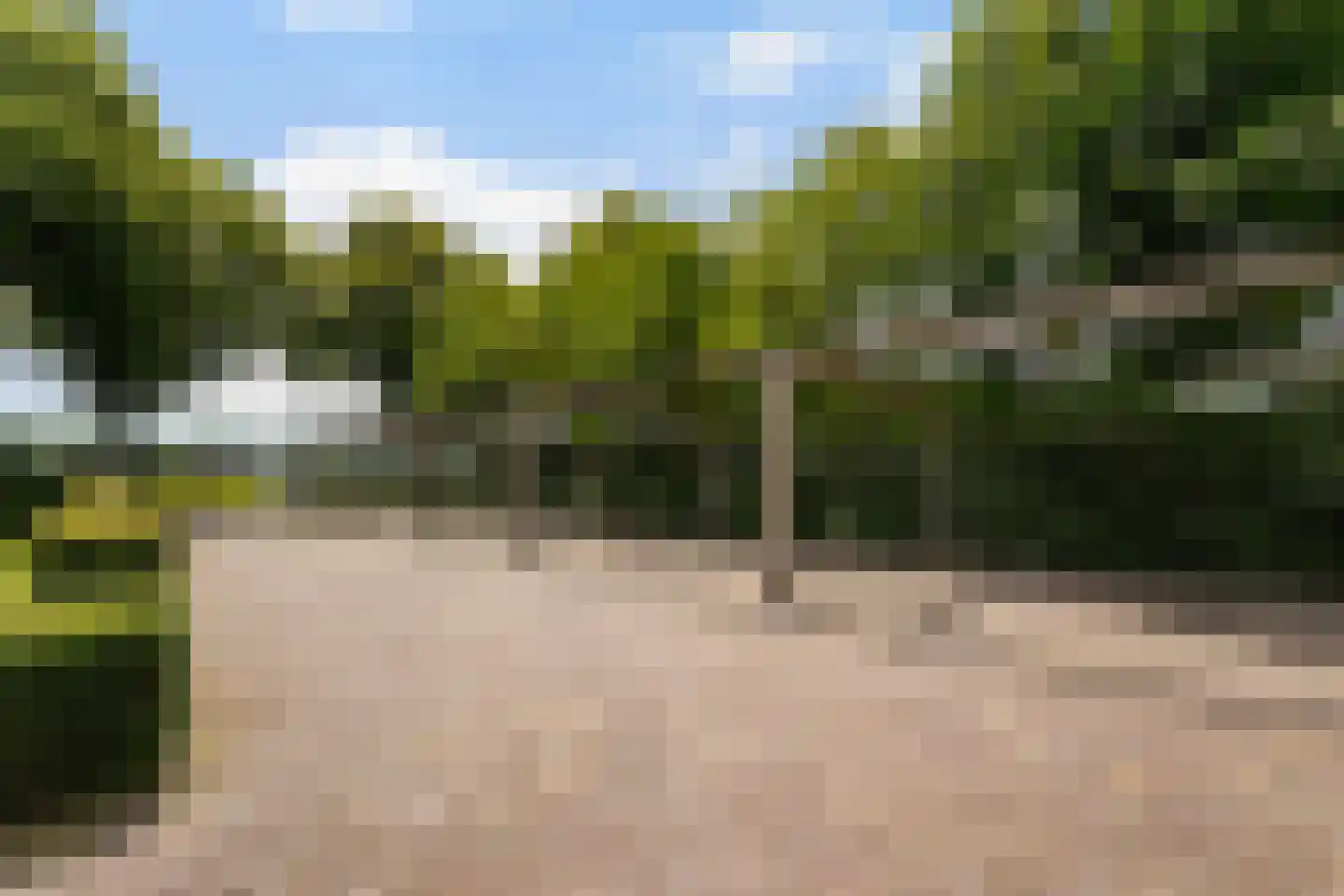 Gemeentenweg 39 Dongen thumbnail 6
