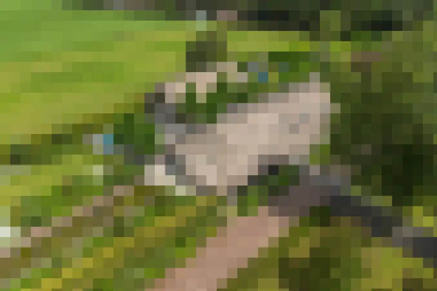 Gemeentenweg 39 Dongen thumbnail 61