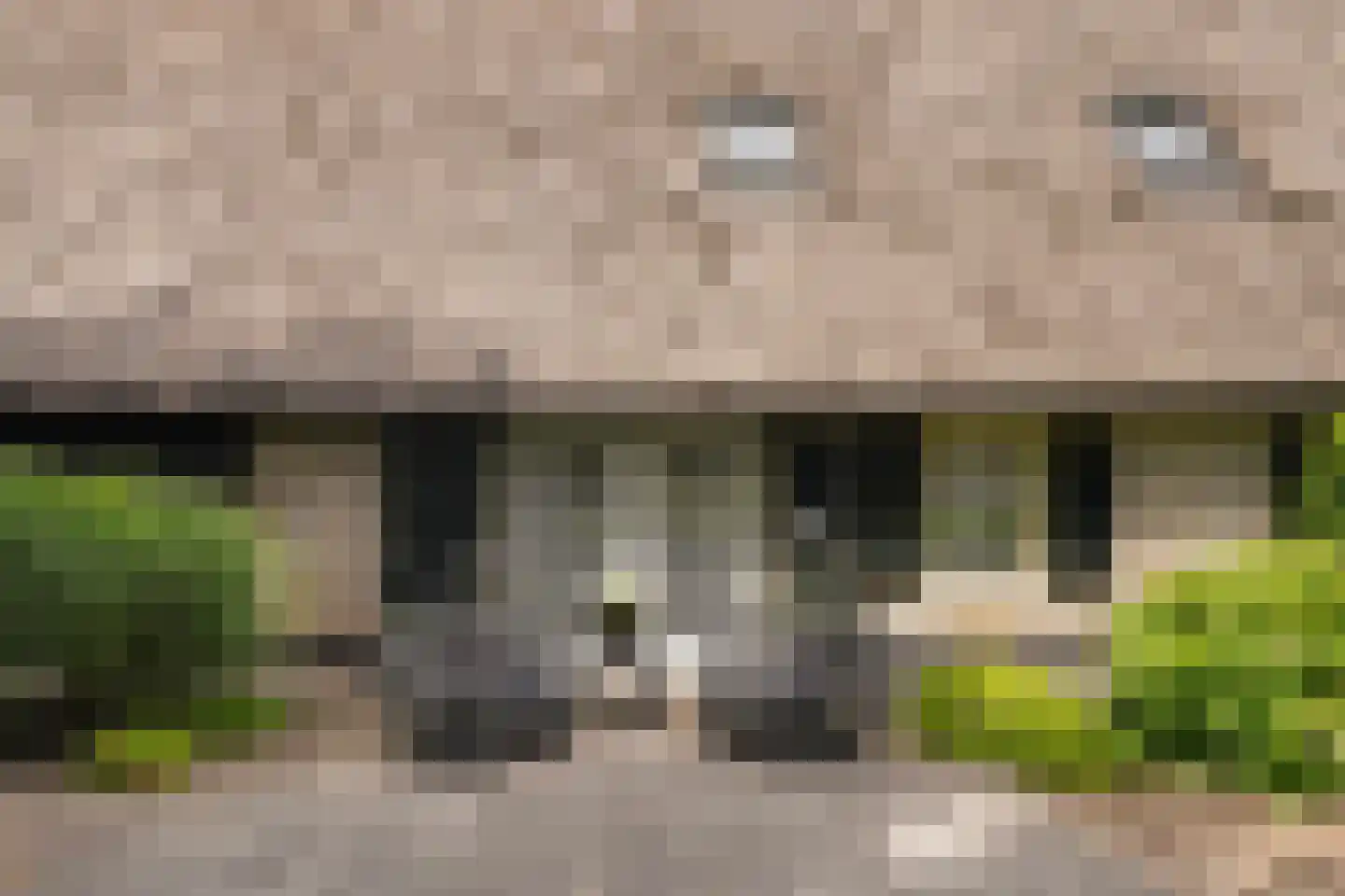 Gemeentenweg 39 Dongen thumbnail 7