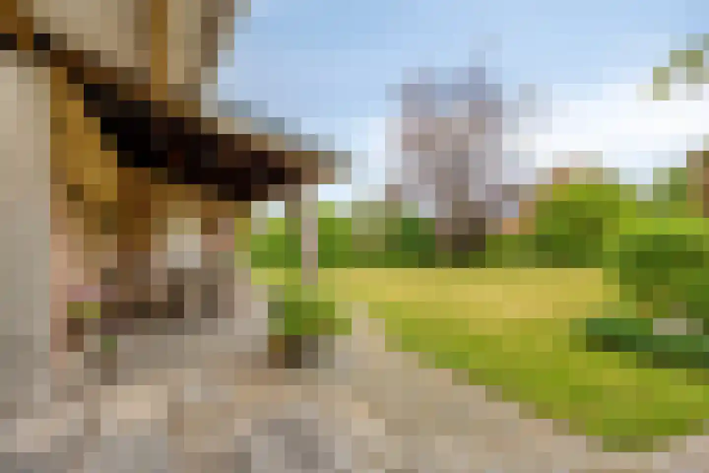 Gemeenteplein 12 Heerenveen thumbnail 53