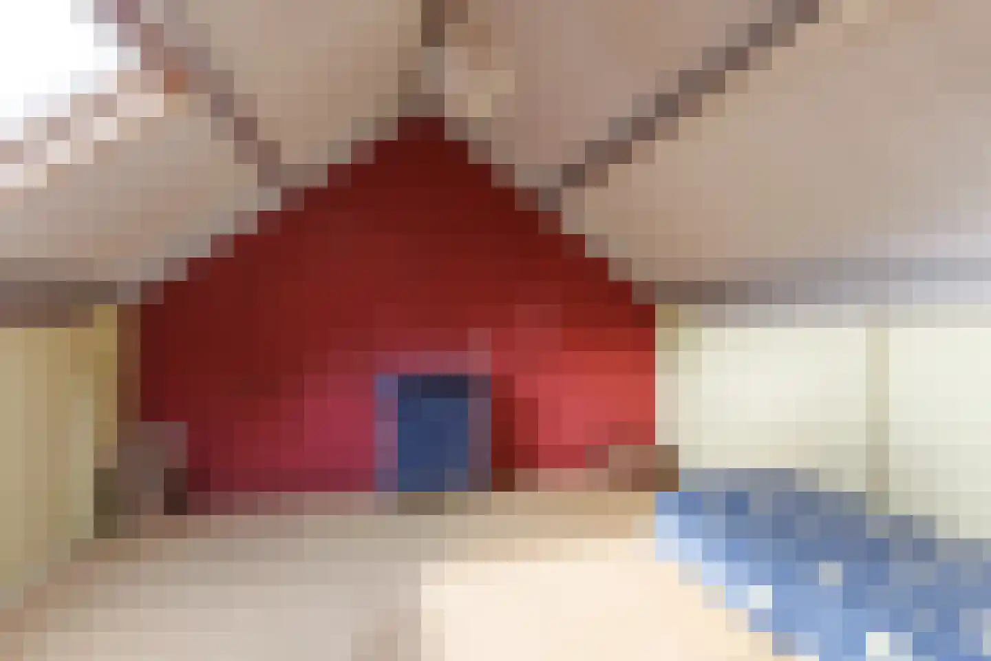 Gemeenteweg 11 Sibculo thumbnail 22