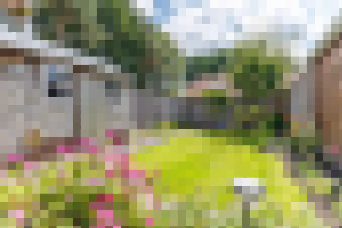 Gemeenteweg 11 Sibculo thumbnail 28
