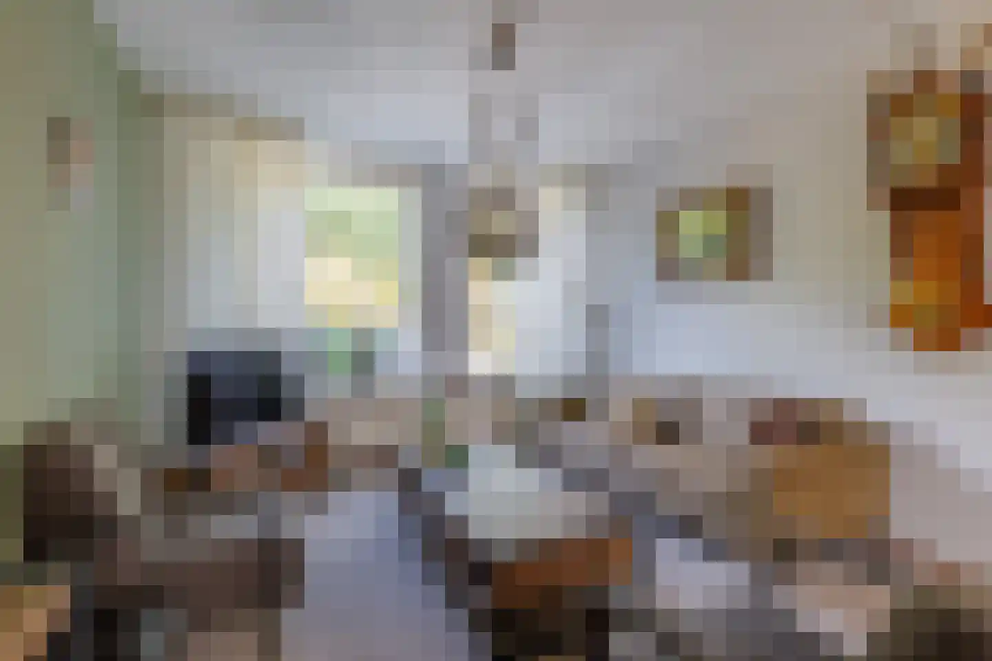 Gemeenteweg 11 Sibculo thumbnail 7
