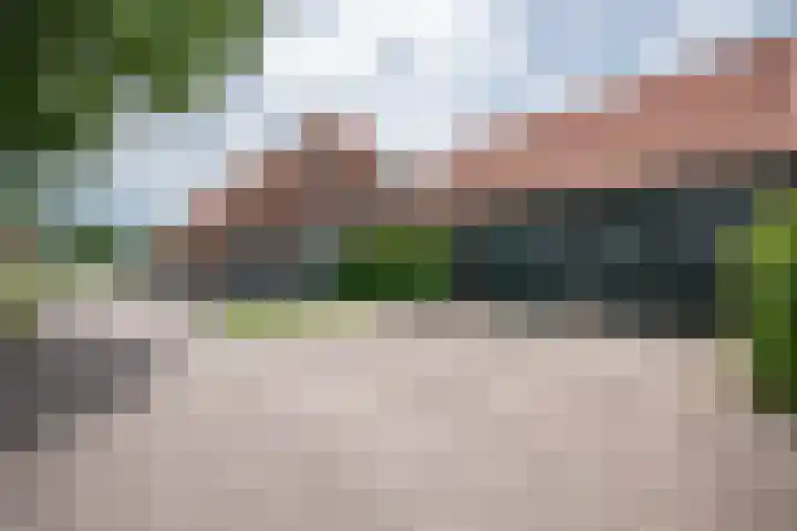 Gemeenteweg 274 Staphorst thumbnail 36