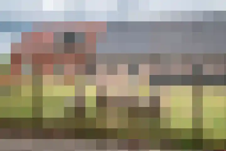 Gemeenteweg 274 Staphorst thumbnail 45
