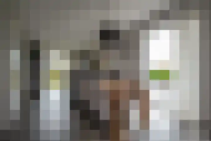 Gemeenteweg 299 g Staphorst thumbnail 10