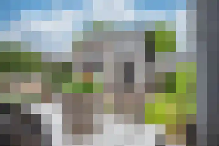 Gemeenteweg 299 g Staphorst thumbnail 30