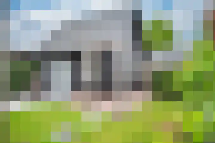 Gemeenteweg 299 g Staphorst thumbnail 32