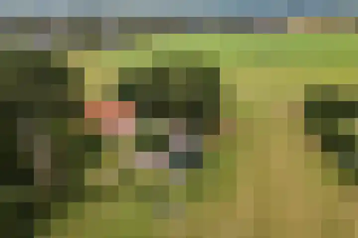 Gemeenteweg 6 Sibculo thumbnail 31
