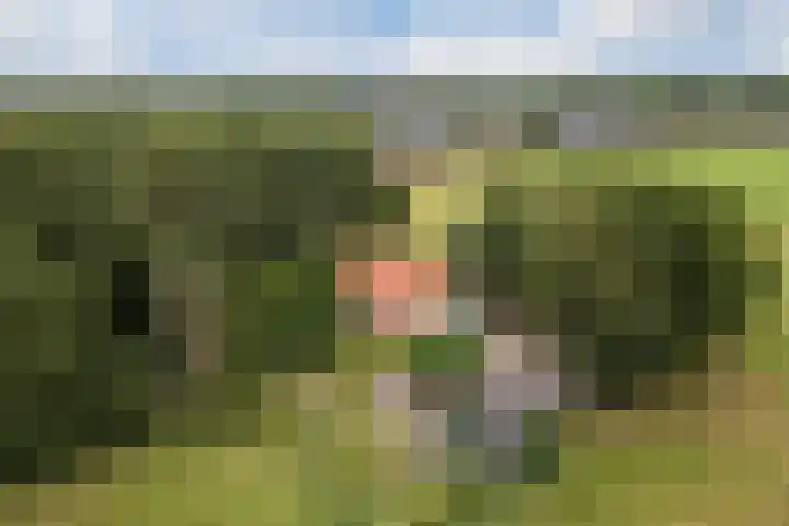 Gemeenteweg 6 Sibculo thumbnail 32