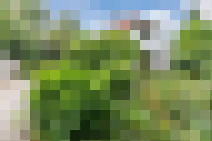 Gemeenteweg 6 Sibculo thumbnail 33