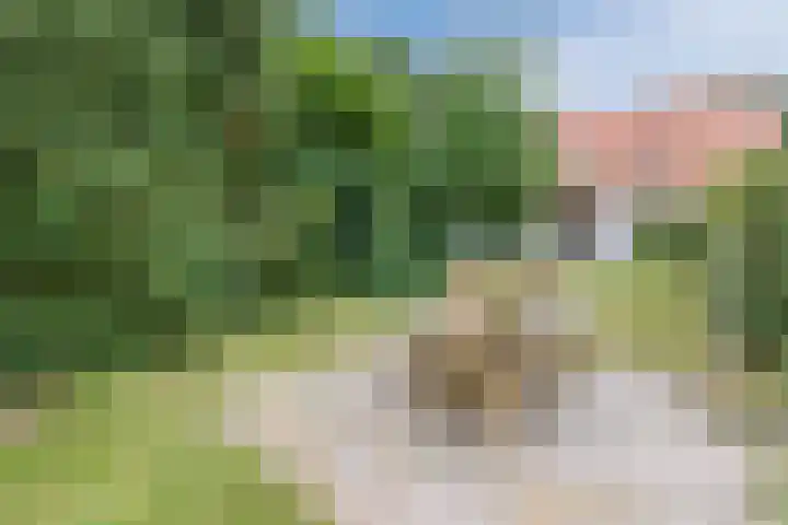 Gemeenteweg 6 Sibculo thumbnail 34