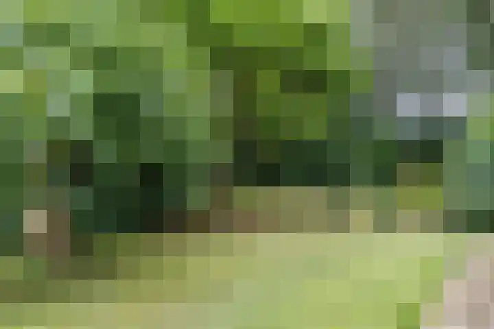 Gemeenteweg 6 Sibculo thumbnail 35