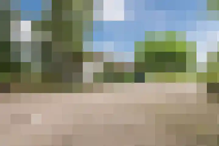 Gemeenteweg 6 Sibculo thumbnail 36