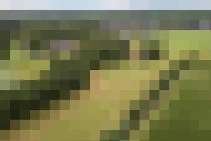 Gemeenteweg 6 Sibculo thumbnail 39