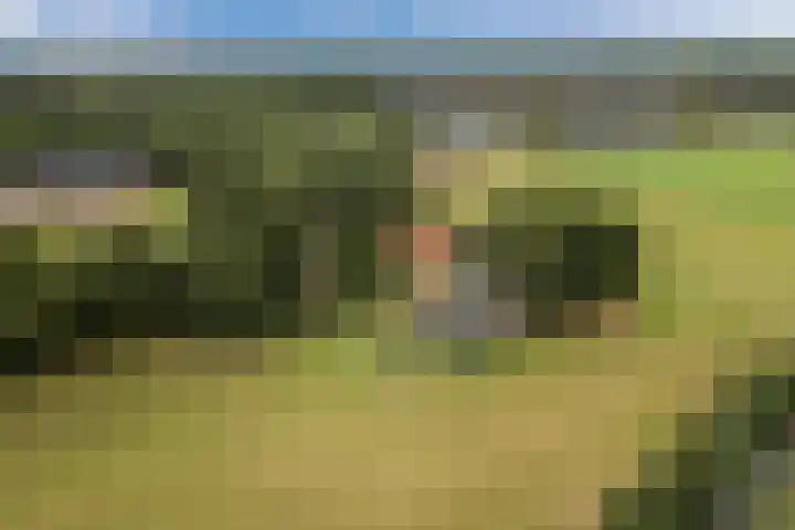 Gemeenteweg 6 Sibculo thumbnail 4