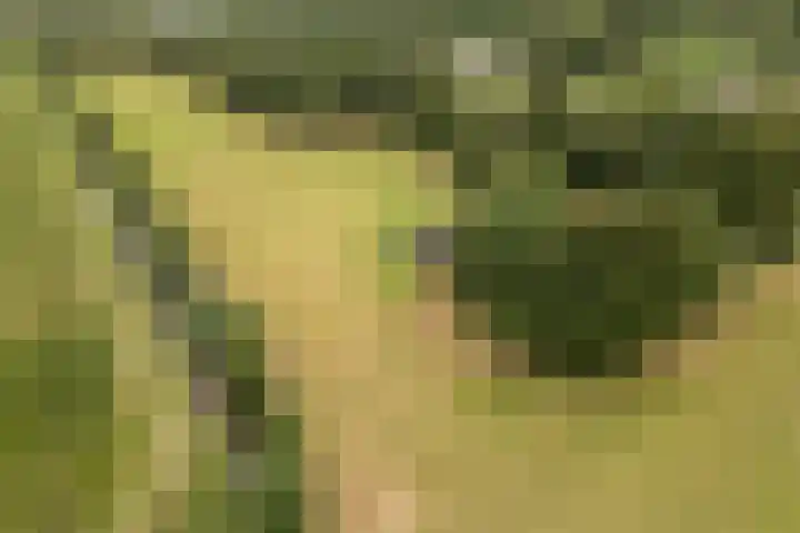 Gemeenteweg 6 Sibculo thumbnail 40