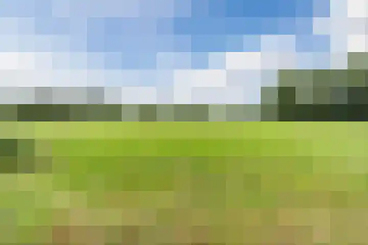Gemeenteweg 6 Sibculo thumbnail 41