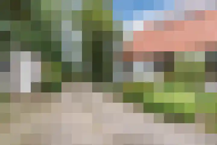 Gemeenteweg 6 Sibculo thumbnail 5