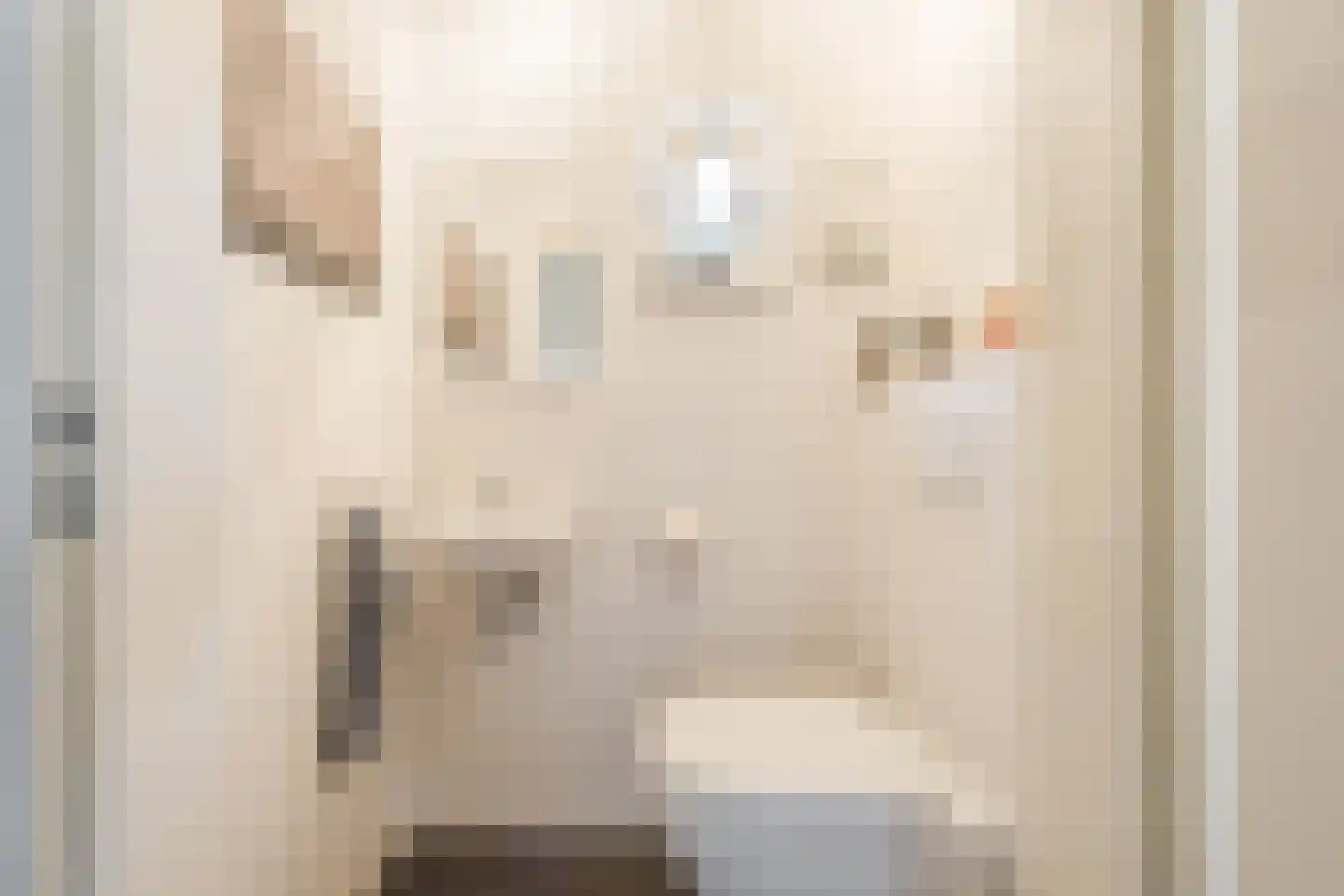 Gemeintje 4 Lithoijen thumbnail 13