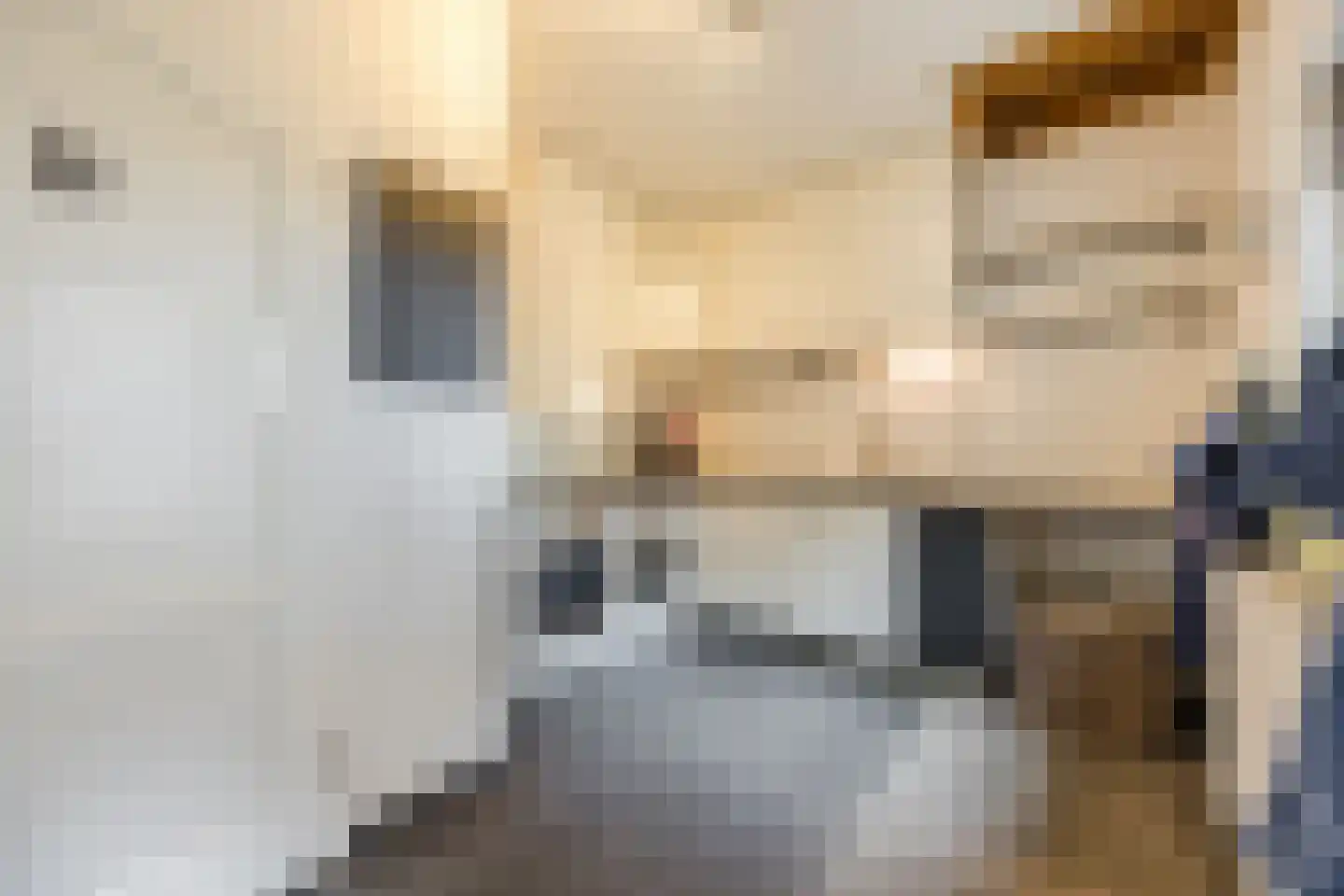 Gemeintje 4 Lithoijen thumbnail 13