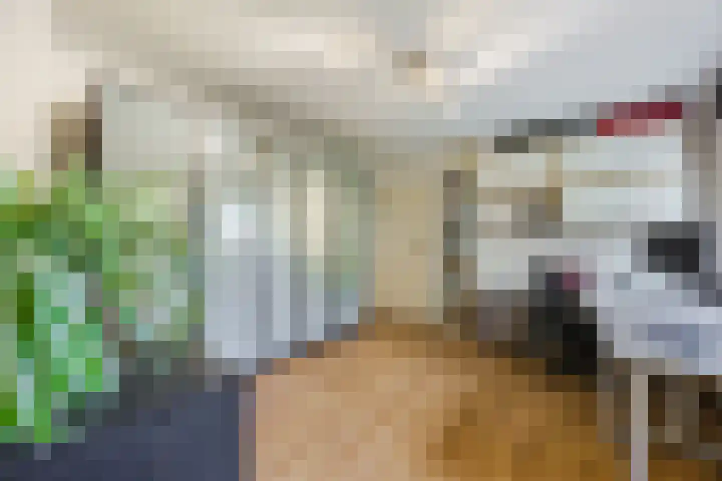Gemeintje 4 Lithoijen thumbnail 24