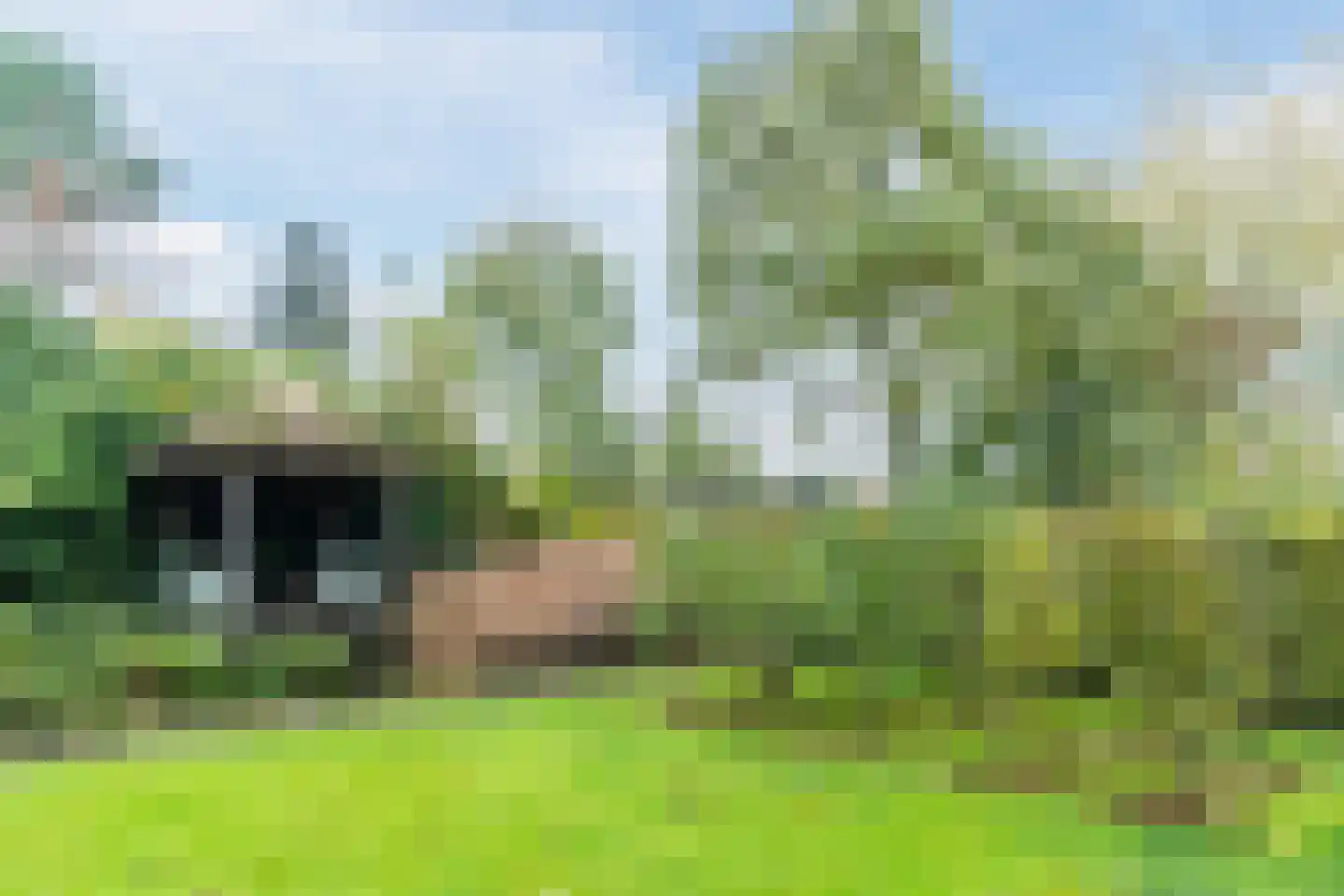 Gemeintje 4 Lithoijen thumbnail 34