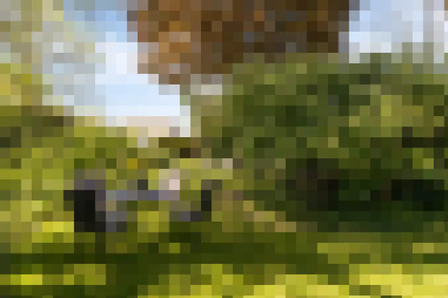 Gemeintje 4 Lithoijen thumbnail 34
